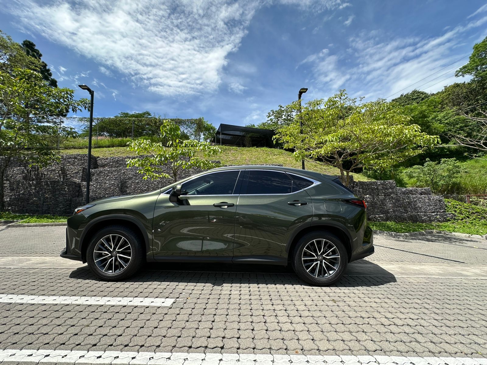 LEXUS NX350H