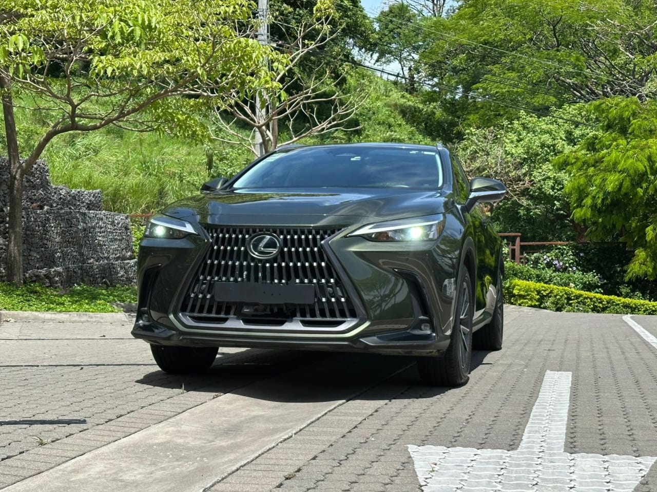 LEXUS NX350H