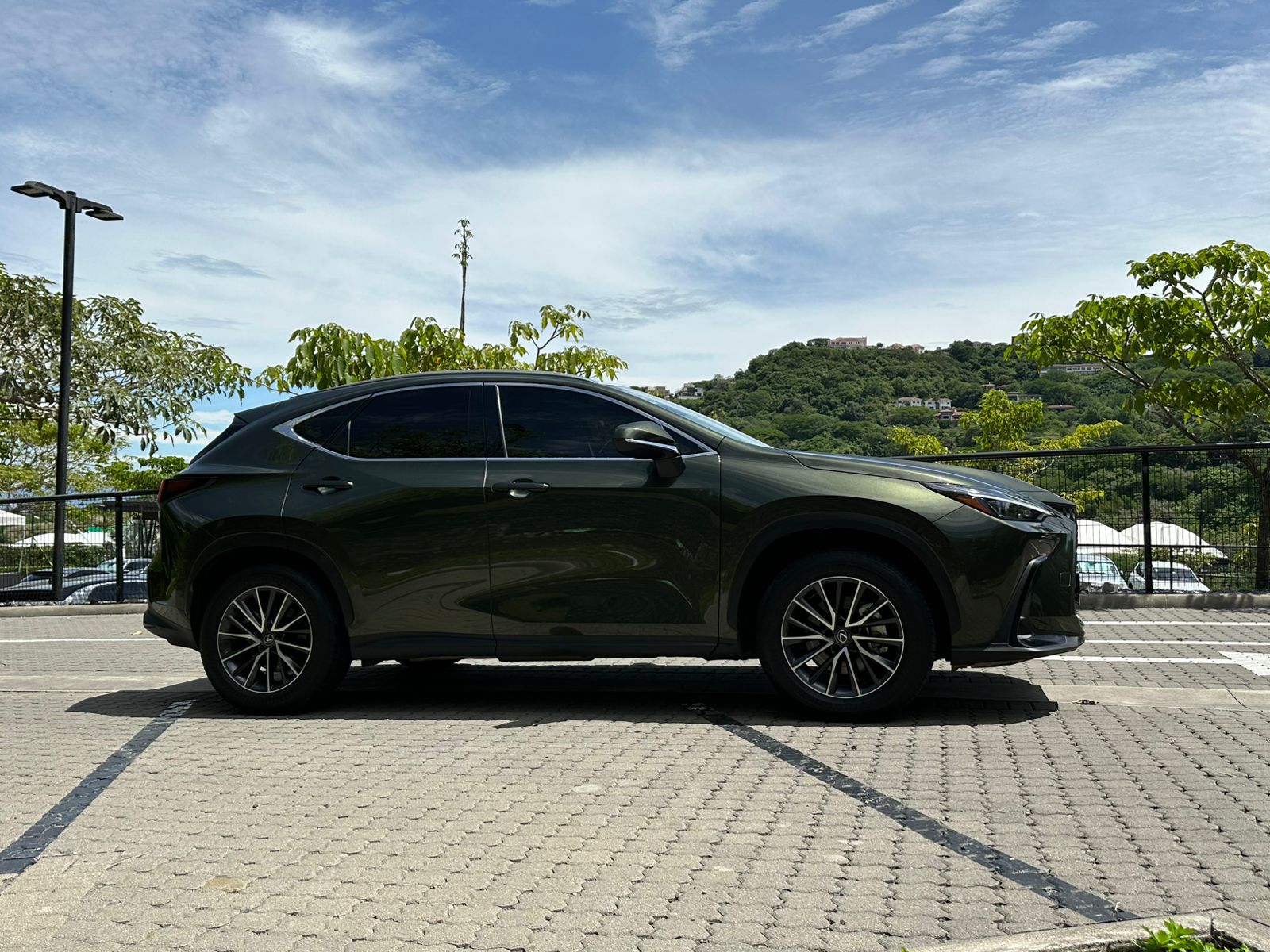 LEXUS NX350H