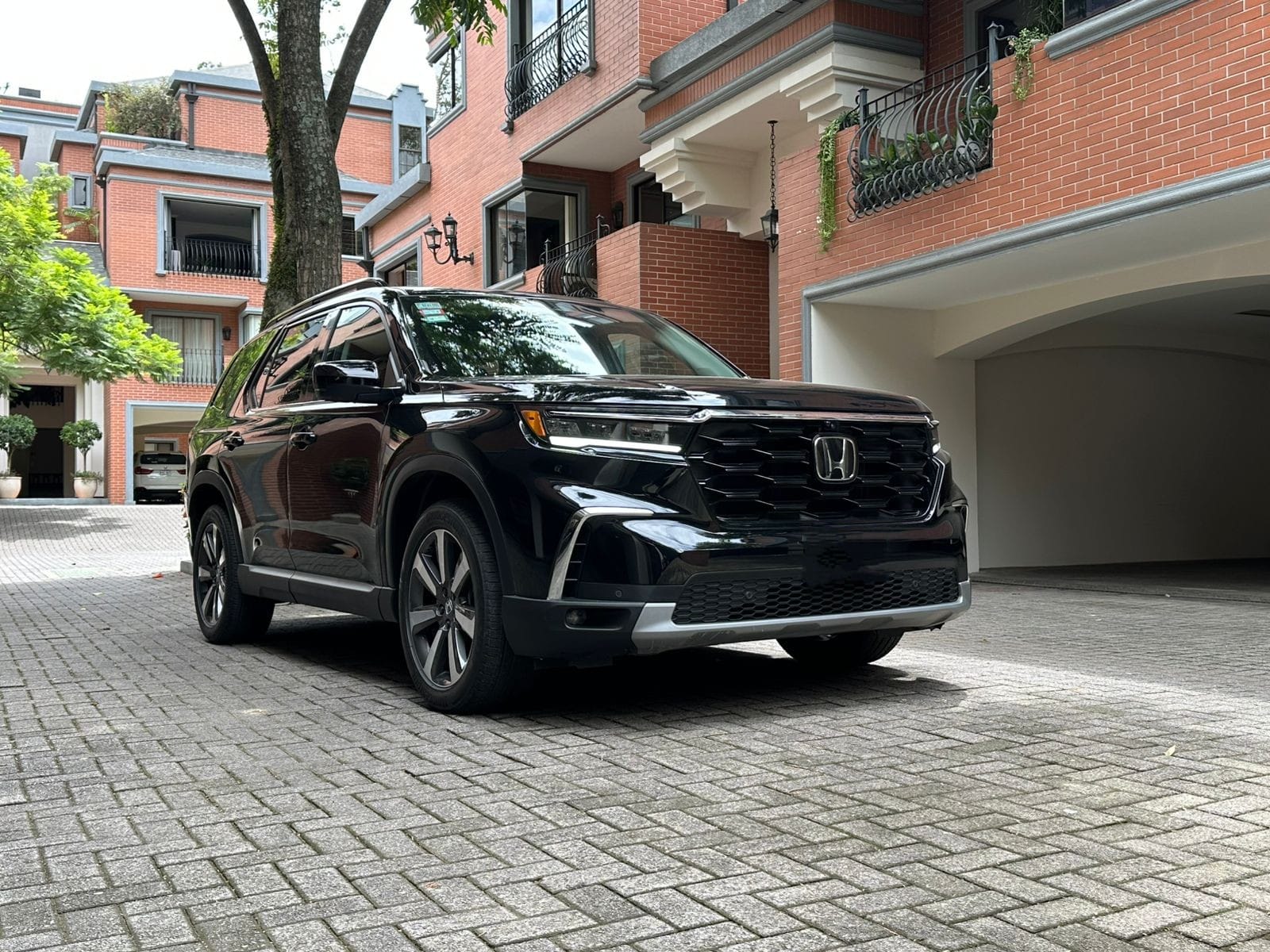 HONDA PILOT ELITE