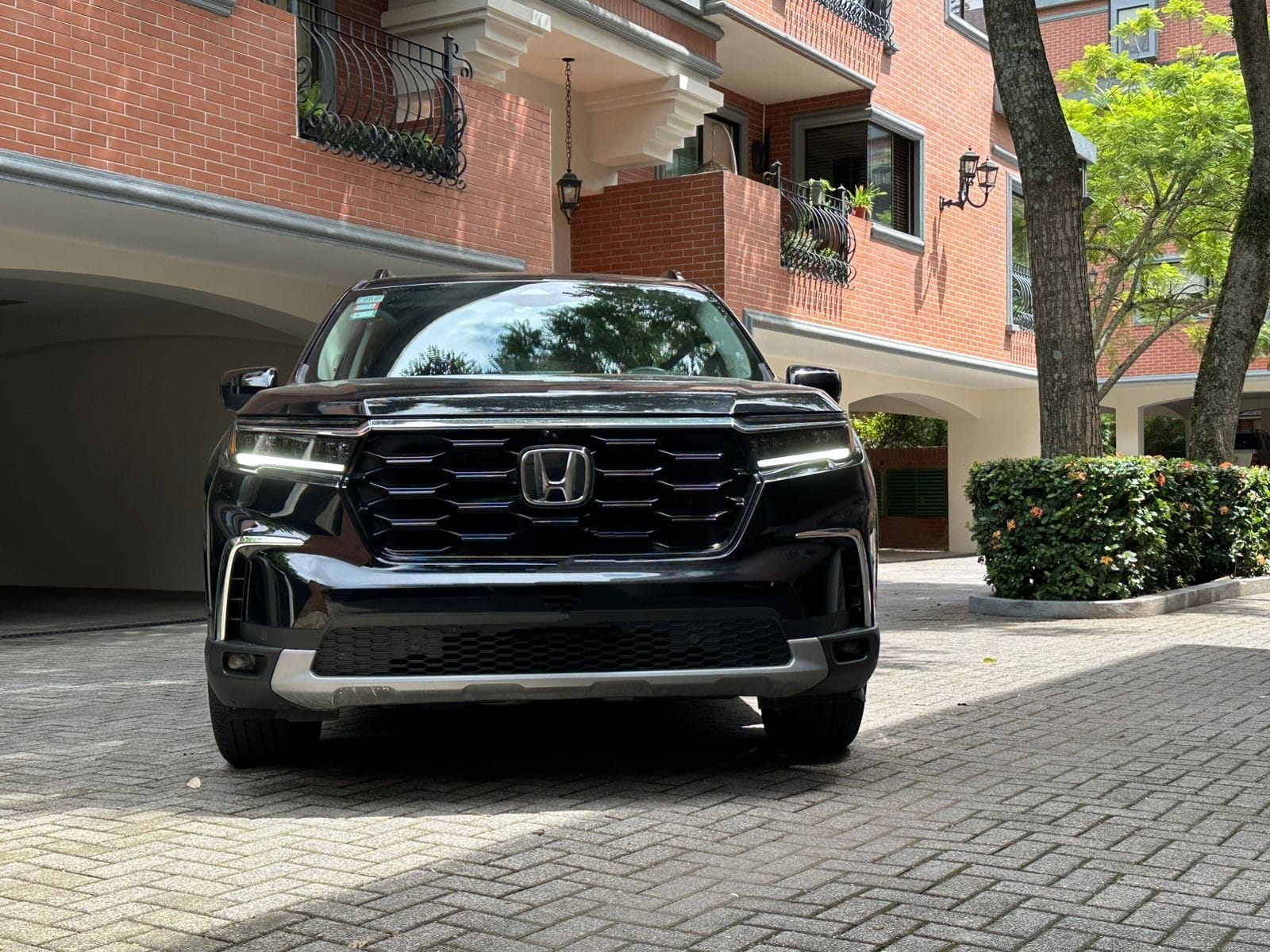 HONDA PILOT ELITE