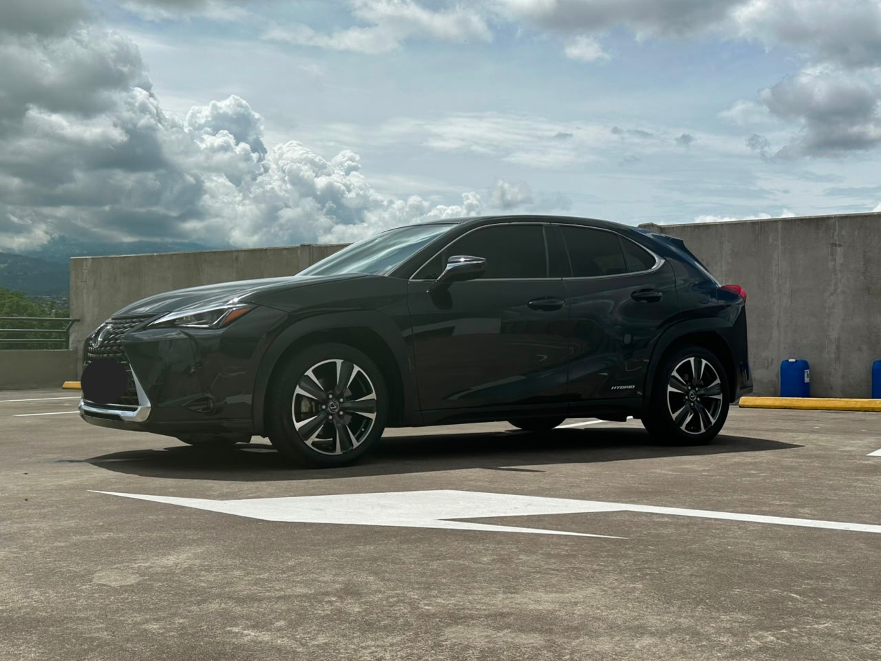 LEXUS UX250H