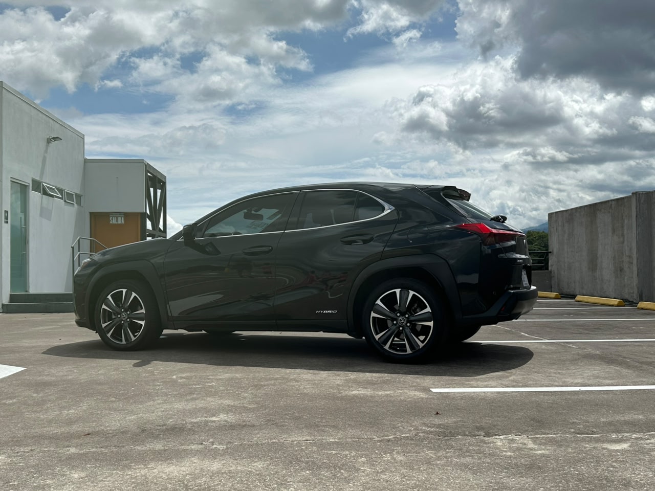 LEXUS UX250H