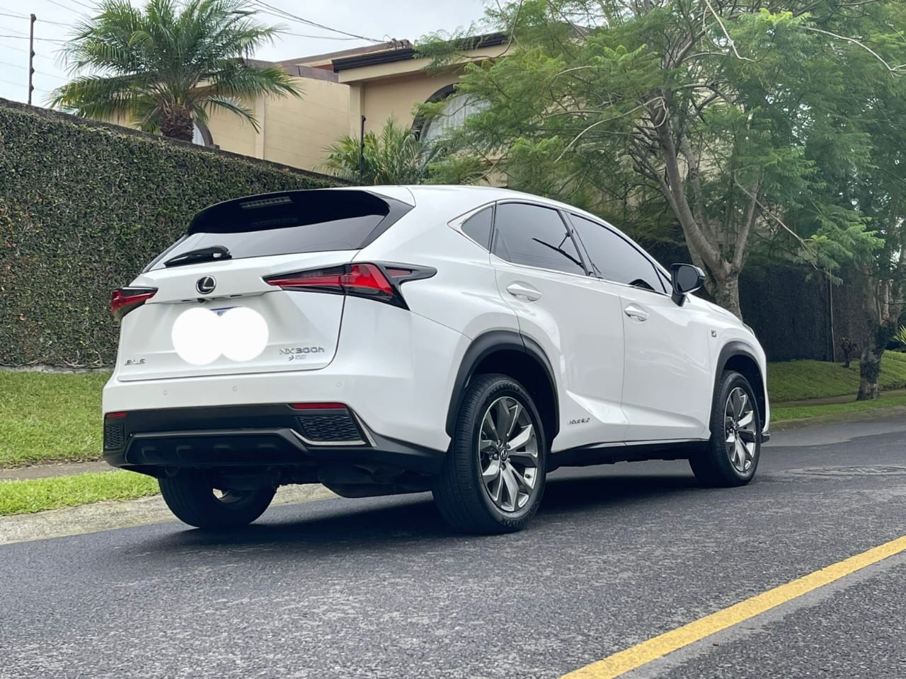 LEXUS NX300H