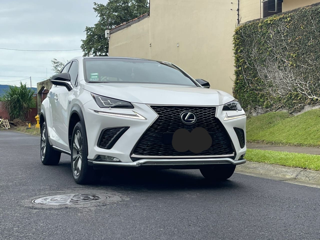 LEXUS NX300H