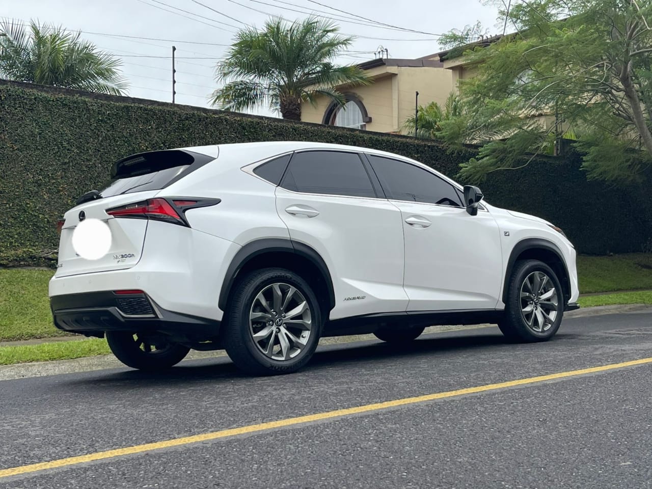 LEXUS NX300H