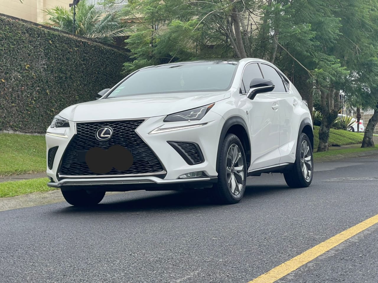 LEXUS NX300H