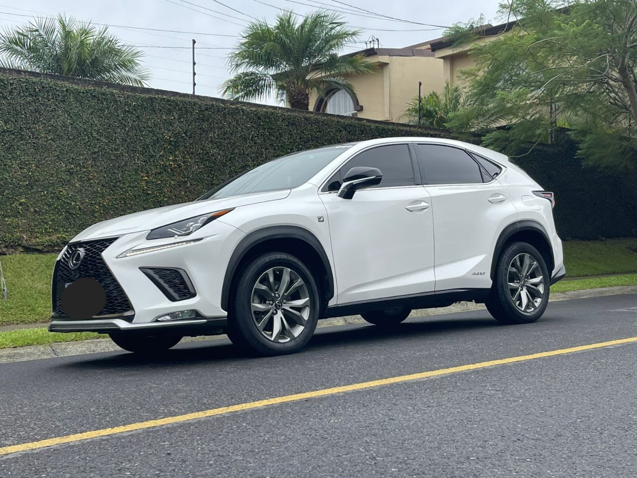 LEXUS NX300H