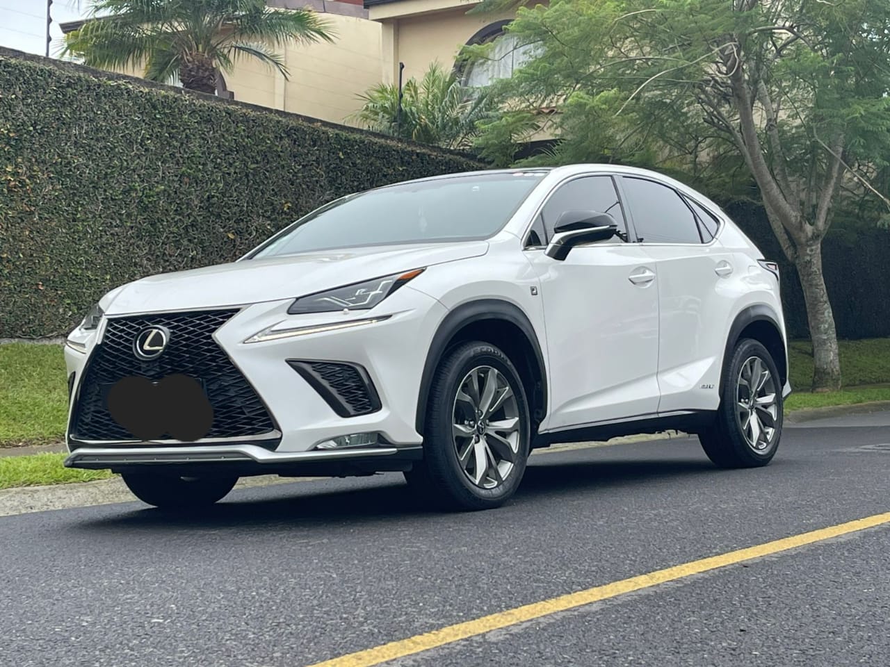 LEXUS NX300H