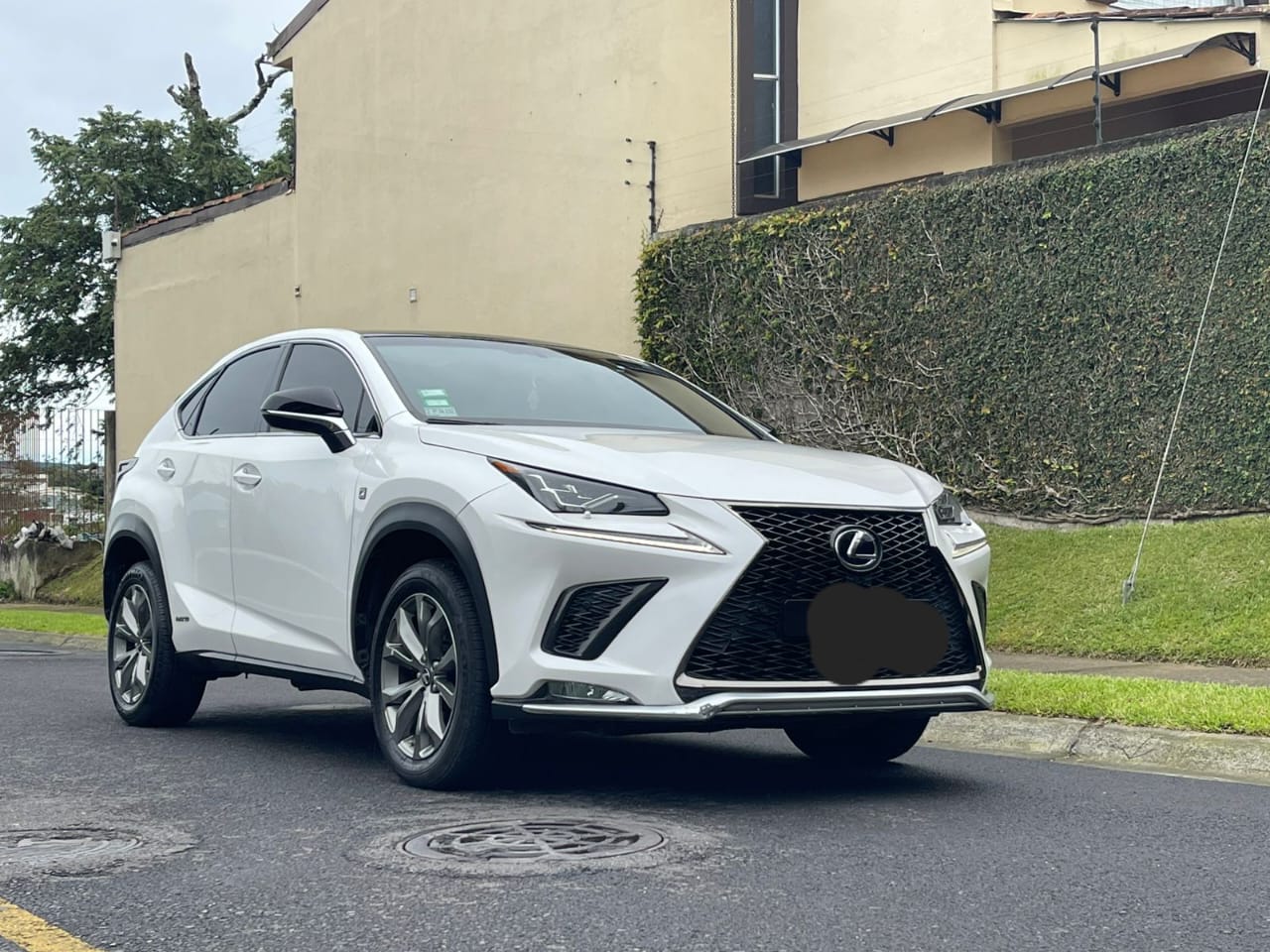 LEXUS NX300H